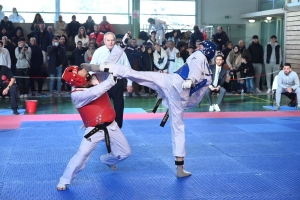 170 combattants de taekwondo aux championnats régionaux à Chadrac