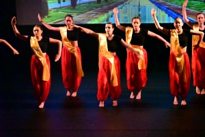 Monistrol-sur-Loire : les danseuses de l&#039;EIMD ont célébré le cinéma sur scène