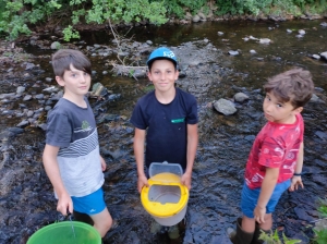 Saint-Romain-Lachalm : ils tentent de sauver les poissons d&#039;un ruisseau asséché