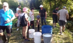 Saint-Romain-Lachalm : ils tentent de sauver les poissons d&#039;un ruisseau asséché