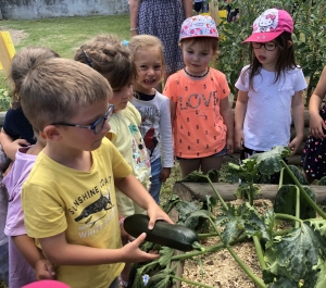 Bas-en-Basset : les écoliers Louise-Michel récoltent le fruit de leur travail