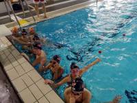 Natation : Le Puy-en-Velay en évidence au meeting de Monistrol-sur-Loire