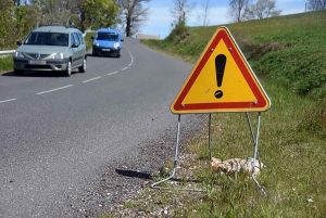 Yssingeaux-Bessamorel : la vitesse réduite à partir de lundi sur l&#039;ex-RN88