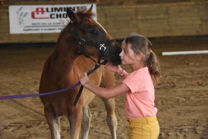 Equitation : des poulains et juments jugés au concours modèles et allures à Yssingeaux