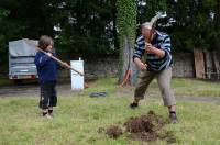 L&#039;histoire d&#039;un cerisier planté à la fin XIXe siècle sert de fil conducteur au récit.