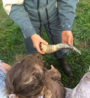 Les Villettes : les écoliers à la ferme