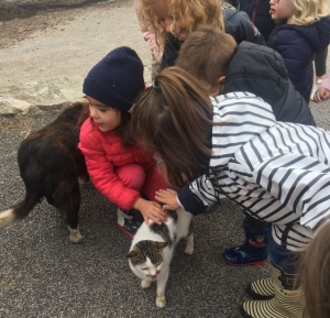 Les Villettes : les écoliers à la ferme