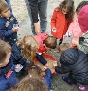 Les Villettes : les écoliers à la ferme