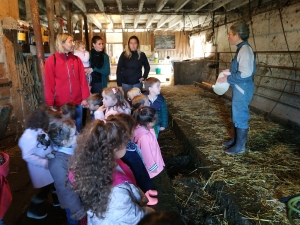 Les Villettes : les écoliers à la ferme