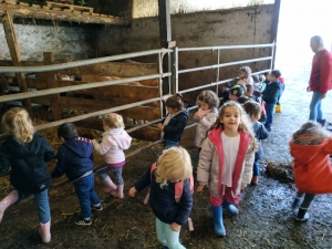 Les Villettes : les écoliers à la ferme