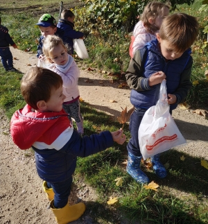 Les Villettes : les écoliers à la ferme