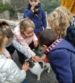 Les Villettes : les écoliers à la ferme