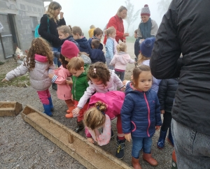 Les Villettes : les écoliers à la ferme