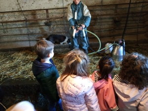 Les Villettes : les écoliers à la ferme