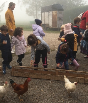 Les Villettes : les écoliers à la ferme