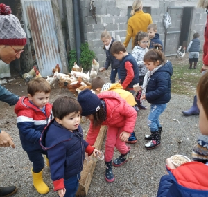 Les Villettes : les écoliers à la ferme