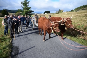 Les Estables : une table « croix du Mézenc » amenée à dos de mulet jusqu&#039;au sommet