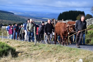 Les Estables : une table « croix du Mézenc » amenée à dos de mulet jusqu&#039;au sommet