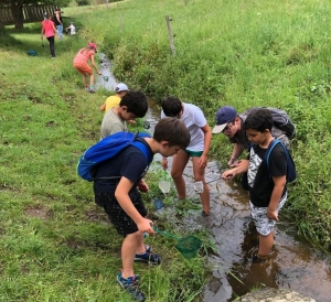 Lantriac : les écoliers incollables sur l&#039;eau