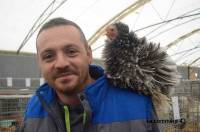 Yssingeaux : 715 animaux à poils et à plumes en exposition ce week-end