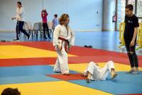 Yssingeaux : 350 judokas au tournoi annuel