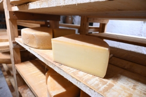 Fay-sur-Lignon : avec le lait de ses vaches abondance, il produit un fromage atypique en Haute-Loire