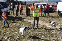 Un chasseur sachant chasser sans fusil... mais avec ses chiens