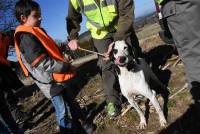 Un chasseur sachant chasser sans fusil... mais avec ses chiens