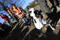 Un chasseur sachant chasser sans fusil... mais avec ses chiens