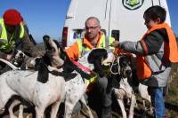 Un chasseur sachant chasser sans fusil... mais avec ses chiens