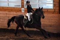 Equitation : 60 cavaliers au concours de saut d&#039;obstacles d&#039;Yssingeaux