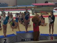 Gymnastique : 16 gymnastes d&#039;Yssingeaux qualifiées pour les interrégions