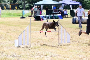 Sainte-Sigolène : un week-end d&#039;agility au camping de Vaubarlet avec 180 chiens