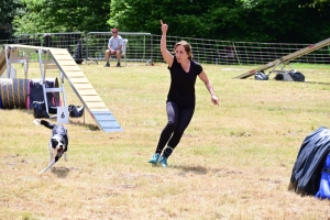 Sainte-Sigolène : un week-end d&#039;agility au camping de Vaubarlet avec 180 chiens