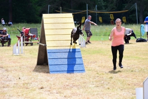 Sainte-Sigolène : un week-end d&#039;agility au camping de Vaubarlet avec 180 chiens