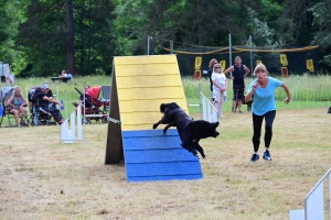 Sainte-Sigolène : un week-end d&#039;agility au camping de Vaubarlet avec 180 chiens