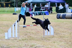 Sainte-Sigolène : un week-end d&#039;agility au camping de Vaubarlet avec 180 chiens