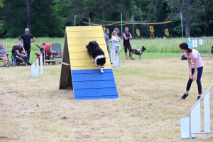 Sainte-Sigolène : un week-end d&#039;agility au camping de Vaubarlet avec 180 chiens