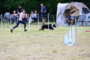 Sainte-Sigolène : un week-end d&#039;agility au camping de Vaubarlet avec 180 chiens