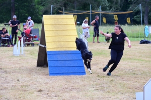 Sainte-Sigolène : un week-end d&#039;agility au camping de Vaubarlet avec 180 chiens