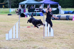 Sainte-Sigolène : un week-end d&#039;agility au camping de Vaubarlet avec 180 chiens