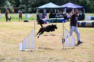 Sainte-Sigolène : un week-end d&#039;agility au camping de Vaubarlet avec 180 chiens