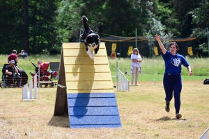 Sainte-Sigolène : un week-end d&#039;agility au camping de Vaubarlet avec 180 chiens