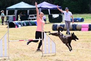 Sainte-Sigolène : un week-end d&#039;agility au camping de Vaubarlet avec 180 chiens