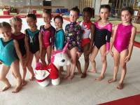 Gymnastique : 70 enfants de 7 à 9 ans au concours individuel d&#039;Yssingeaux