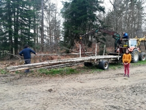 Lapte : la Forêt des enfants se réveille