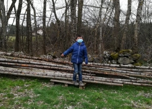 Lapte : la Forêt des enfants se réveille