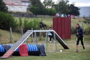 Education canine : l&#039;agility, une discipline très populaire chez les maîtres