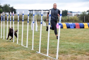 Education canine : l&#039;agility, une discipline très populaire chez les maîtres