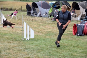 Education canine : l&#039;agility, une discipline très populaire chez les maîtres